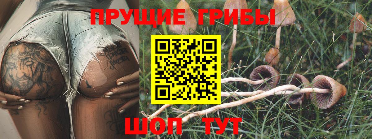 Галлюциногенные грибы Magic Shrooms  Вход с VPN  Псилоцибиновые грибы мицелий  Саяногорск 